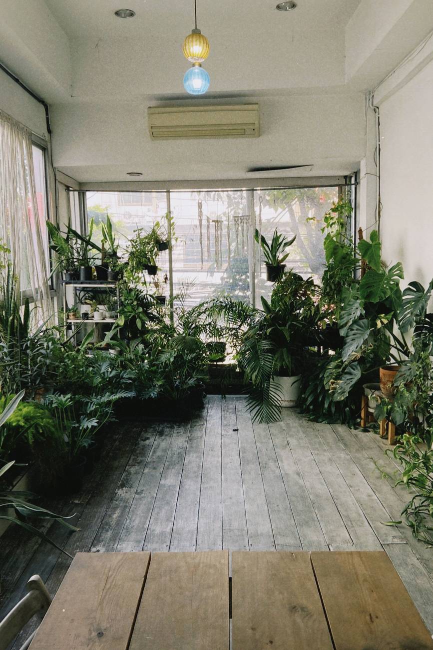 Demonstration photograph. A quiet indoor room with plants along the walls and a long wooden table.